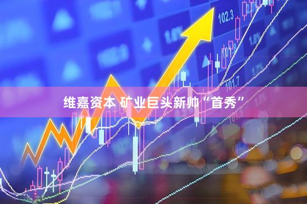 维嘉资本 矿业巨头新帅“首秀”