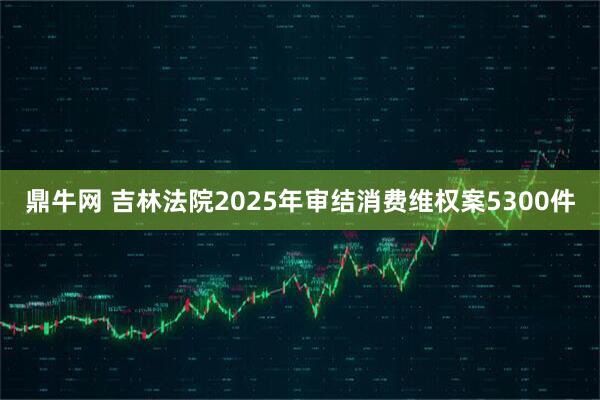 鼎牛网 吉林法院2025年审结消费维权案5300件