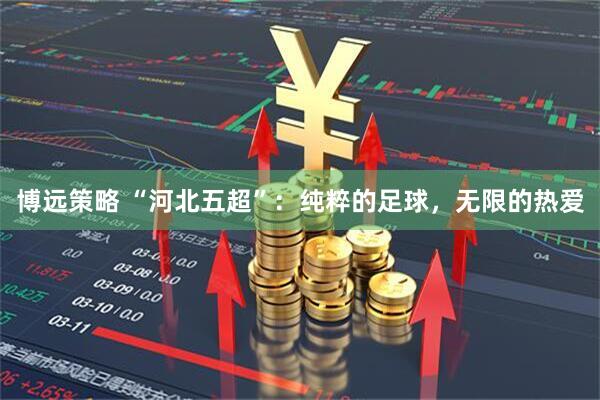 博远策略 “河北五超”：纯粹的足球，无限的热爱